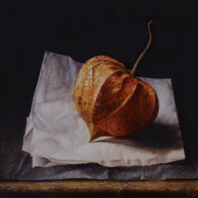 Physalis 1, oil/panel, 14x14 cm