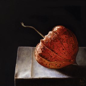 Lampionnetje 2/Physalis 2, oil/panel, 14x14 cm